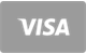 Visa card payment method accepted at CryptoLeo Casino
